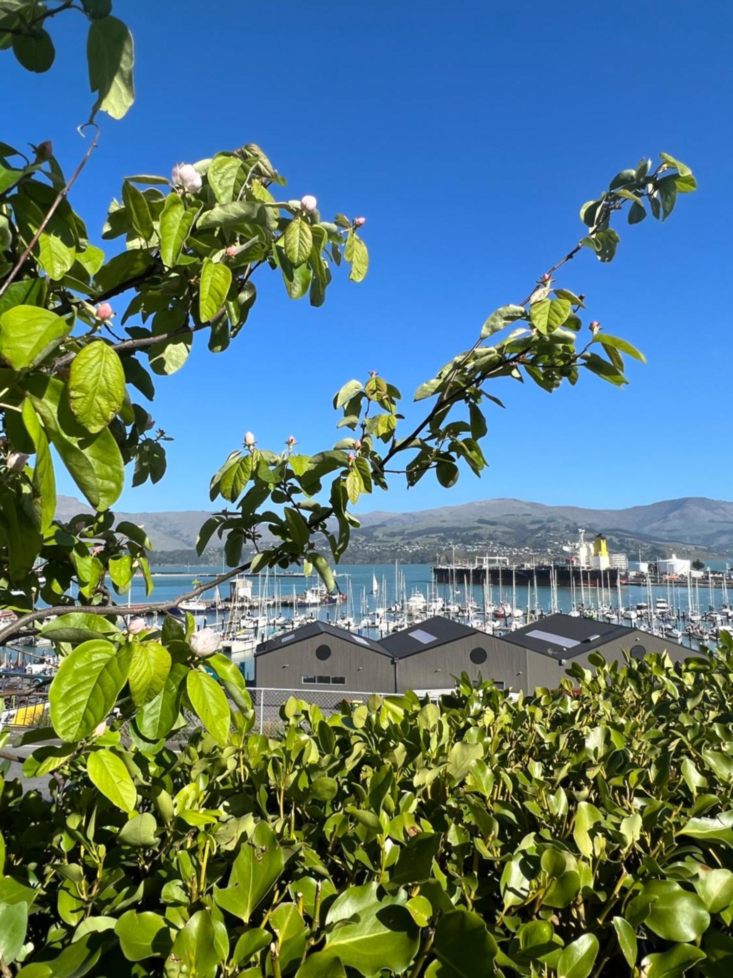 Sea Views In Luxury At Lyttelton Boatique House - 14 Km From Christchurch מראה חיצוני תמונה